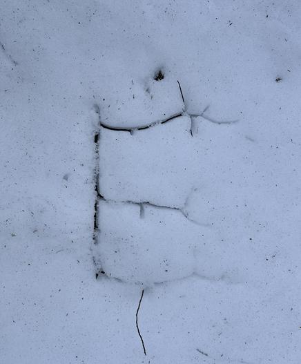 piece of branch that looks like an E with some electrical arcing at the ends sunk into the snow about 10mm