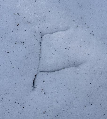 Not the best F in the world, an ancient hunter gatherer might rotate it clockwise 90° and call it the sign for a deer or elk.