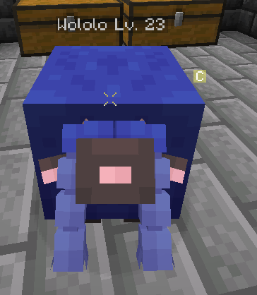 screenshot from cobblemon showing a lv23 wooloo named wololo, its wool is blue