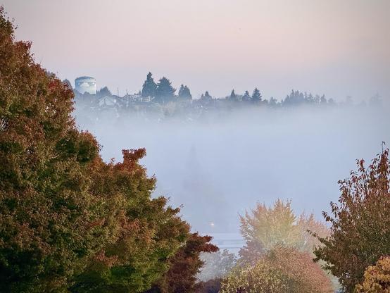 A serene landscape featuring colorful autumn trees in the foreground, with a layer of fog blanketing the scene. In the background, silhouettes of houses and a water tower are visible, creating a soft and tranquil atmosphere under a pastel sky.