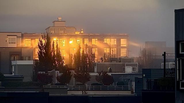 A hazy urban scene featuring a multistory building illuminated by warm, golden light, surrounded by fog and silhouetted trees. The foreground includes smaller buildings and rooftops, creating a layered cityscape.