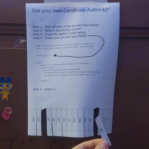 A4 info sheet with tearable 3 digit numbers. It reads:

Get your own certificate authority!

Step 1: Tear off one of the private keys below
Step 2: Keep it absolutely secret!!!
Step 3: copy the python code below
Step 4: Insert your private key HERE (arrow to some python code)

bla bla python

Step 5: Enjoy :)