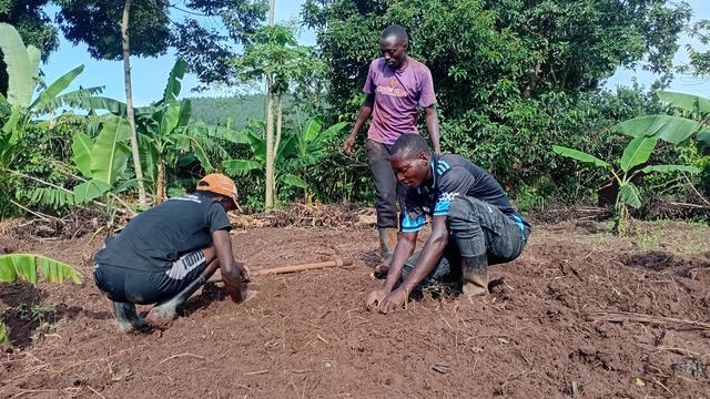 Young farmers from Fill the Empty Stomachs Farming Initiative planting onion seedlings from the nursery bed into the garden.
