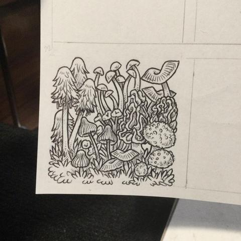 An ink drawing of a bunch of different types of mushrooms all growing close together