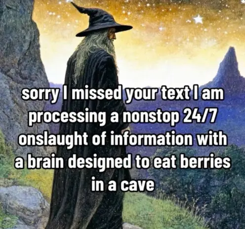 A picture of a wizard looking towards the stars and the sun setting behind some mountains with the caption "sorry I missed your text I am processing a nonstop 24/7 onslaught of information with a brain designed to eat berried in a cave"