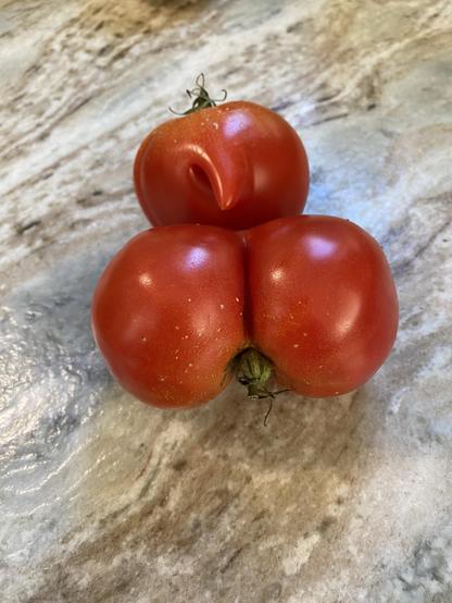 Two bright red tomatoes on a brown and gray granite countertop. One, which appears to be a “double” or conjoined twin, suggestive of perhaps, a human, er, rear end and another with a bit of a dangling appendage.