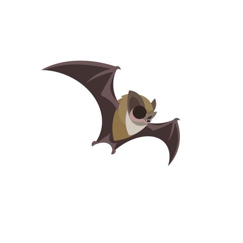 A flying brown bat