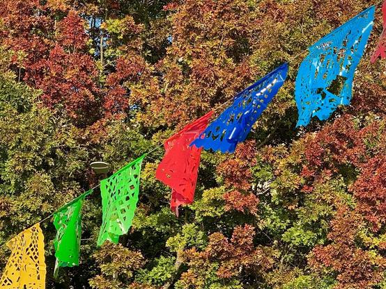 Colorful papel picado banners in green, red, blue, and yellow are strung against a backdrop of vibrant autumn leaves.