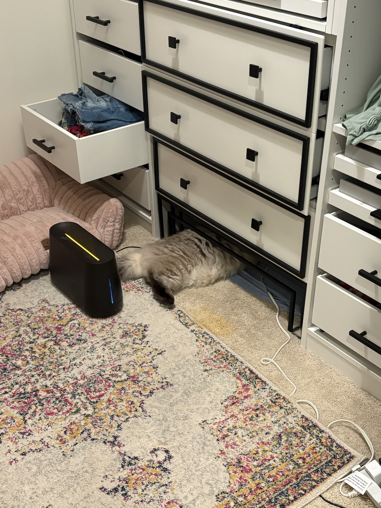 a fluffy cat sticking his head under the dresser. he is not hidden.